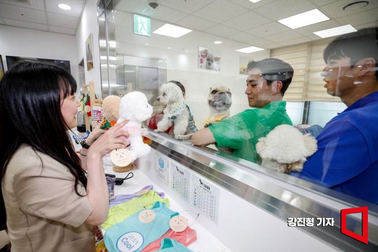 서울 강서구 김포공항 국내선 애견센터에서 반려견 위탁 시설. 사진은 기사의 특정 내용과 관련 없음. 강진형 기자