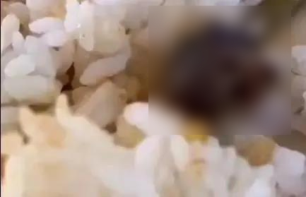 대학식당 밥에서 쥐 머리 나왔는데 "오리고기" 해명…中 이물질 사태 '후폭풍'