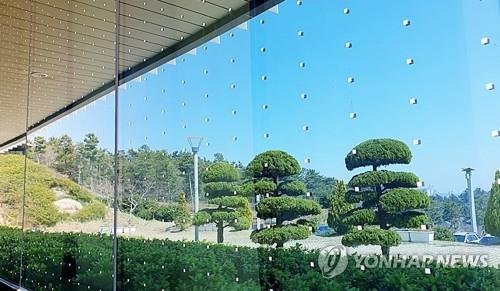 유리창에 부착된 새 충돌 방지 스티커. [사진=서산시·연합뉴스]