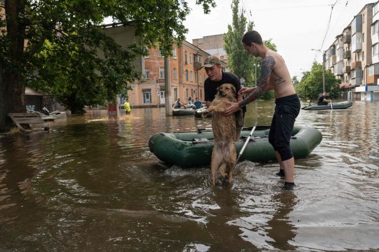 우크라이나 헤르손주 카호우카 댐이 파괴된지 사흘째인 8일(현지시간) 물에 잠긴 현지 마을에서 주민들이 개를 구조하고 있다. [이미지출처=AFP연합뉴스]
