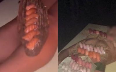 생일파티서 '알몸 초밥' 내놓은 카니예…9살 딸까지 참석한 자리