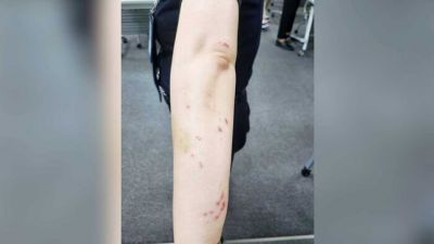 "내 짐 왜 건드려" 인천공항 난동 70대 중국인 체포