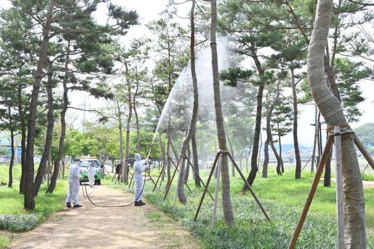 2023년 지자체 합동평가 산림분야 우수 기초지자체에 선정된 청송군.