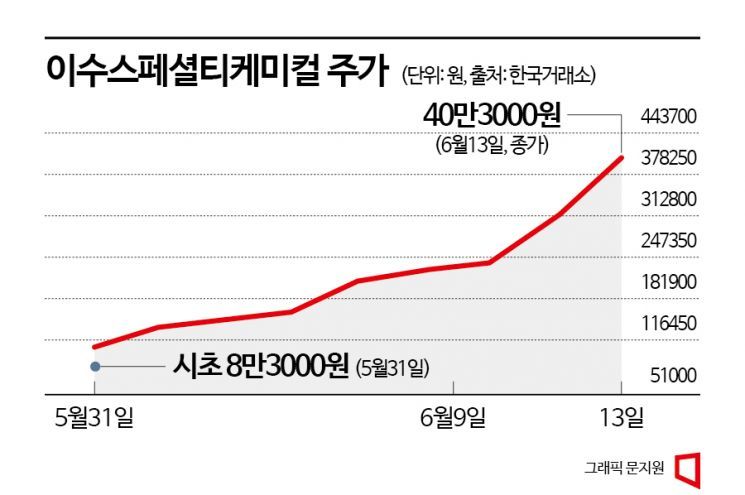 인적분할 후 엇갈린 주가…사업경쟁력 제고냐 대주주 지배력 강화냐