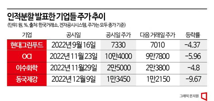 인적분할 후 엇갈린 주가…사업경쟁력 제고냐 대주주 지배력 강화냐