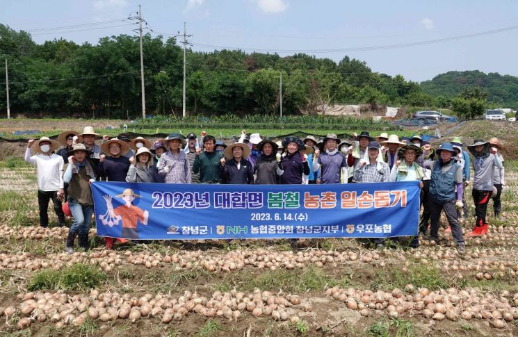 창녕군-농협중앙회-우포농협 합동 농촌일손돕기. [이미지 제공=창녕군]