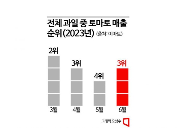 대형마트, 토마토 농가 살리기…이색 품종 확대