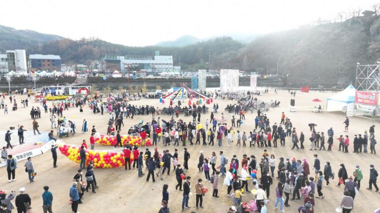 지난해 청송사과축제 모습.