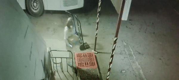 마약 집중단속 3개월만에 3670명 검거…절반 이상이 2030