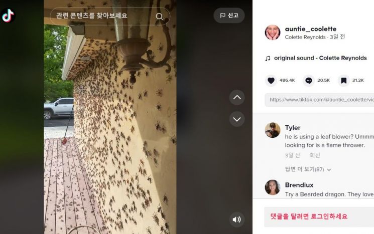 "이렇게 심하게 공격받은 적 처음"…집·도로 온통 '귀뚜라미 떼' 美 네바다