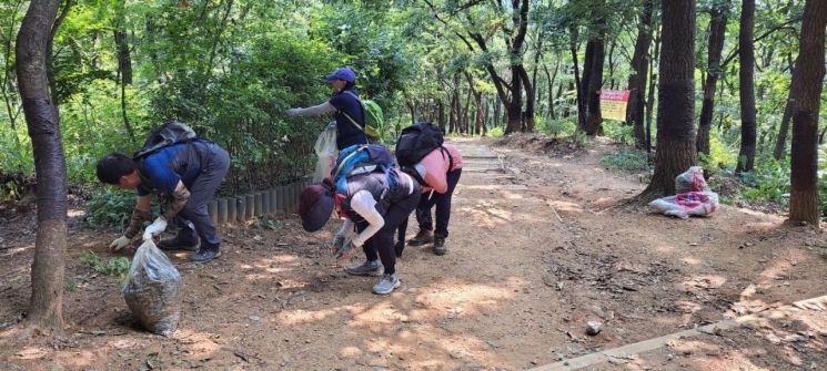 은평구, 친환경 방제로 봉산 대벌레 떼 ‘싹’