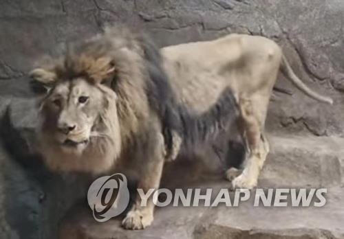 '동물 학대 논란' 김해 부경동물원 결국 문 닫는다