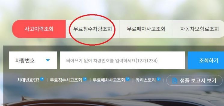 보험개발원 카히스토리의 무료침수차량조회 [이미지출처=카히스토리]