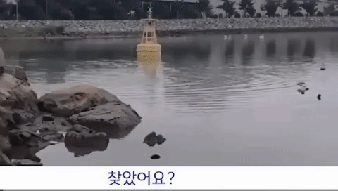 한 시민은 경찰을 피해 달아나거나 경찰에게 버티는 A씨의 모습을 보며 웃음을 터트리기도 했다. 경찰이 A씨를 찾아내 검거하자 시민들 사이에서 박수갈채를 쏟아져 나왔다. [사진출처=MBC 뉴스]