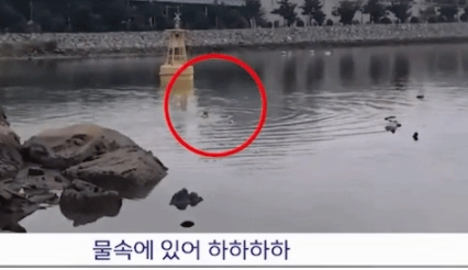 20대 여성 앞에서 바지를 내리고 신체 부위를 노출한 50대 남성이 경찰의 추격을 피하기 위해 바다로 뛰어든 모습. [사진출처=MBC 뉴스]