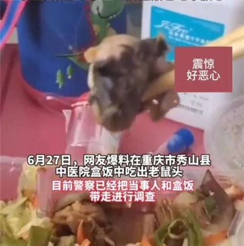 학교 이어 병원 식당서도 '쥐 머리'…위생 논란 中 '부글부글'