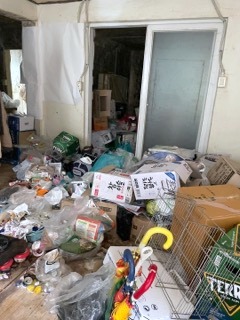 쓰레기 더미 가정
