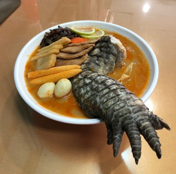라면 시켰다가 기절할라…악어 다리 담긴 대만 '고질라 라면'