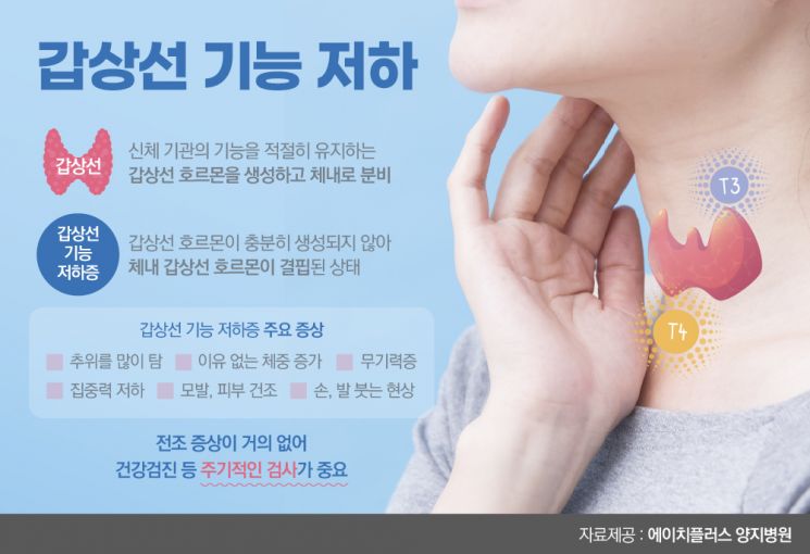 [콕!건강]"여름인데 추워요"…'갑상선 기능 저하' 증상일수도