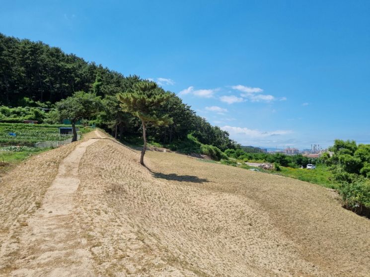정비 후(현재).