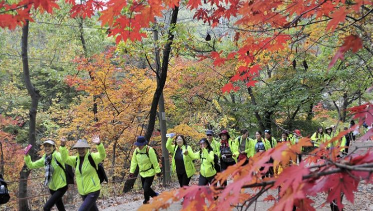 [하루만보 하루천자]걷기와 정취 ·정보 일석삼조…동국제약 ‘동행캠페인’