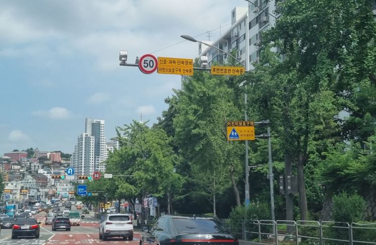동작구 현충로 오토바이 뒷번호판까지 단속
