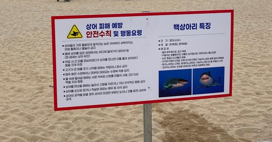 상어 피해 예방 안전수칙 및 행동요령 안내 표지판. [사진=속초시]