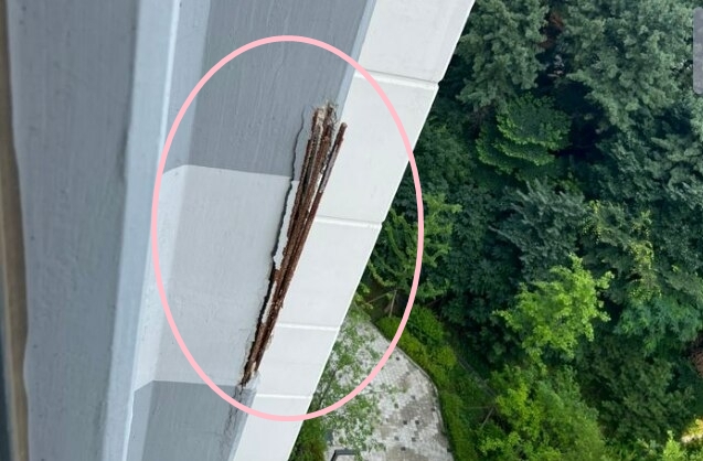 입주 4년차 강동구 아파트, 외벽 뚫고 철근다발 치솟아