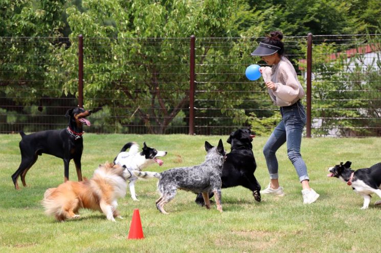 'Gyeonggi Nambu Daengdaengi Gather' Podong School Yongin Campus Opens