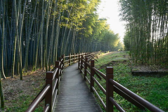 가좌산 둘레길에 대나무숲길 구간. 이 구간은 대나무숲 사이로, 산책로를 조성해 탐방객이 길을 지나는 데 불편함을 덜어준다. 산림청 제공