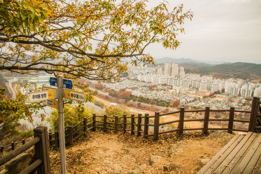 가좌산 둘레길에서 내려다 보이는 전주 시내 전경. 산림청 제공
