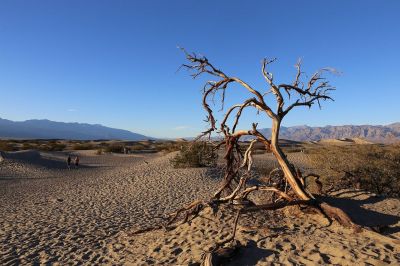 지구상에서 가장 높은 기온으로 유명한 미국 캘리포니아의 사막 지역 데스밸리