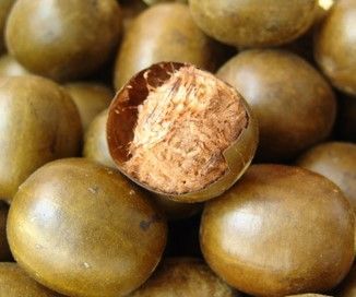 전통 한약재 나한과. 사진출처=한국한의학연구원 제공