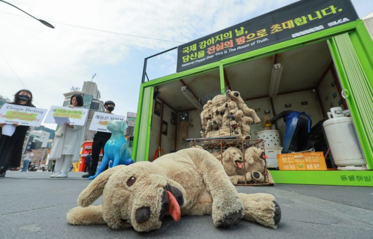 动物权益团体Care还以共同正犯身份起诉了本案的施虐者以及将狗遗弃给施虐者的繁殖场场主。 [图片来源=联合新闻提供]