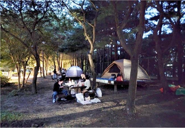 한 캠핑장 모습으로 기사 내용과 무관