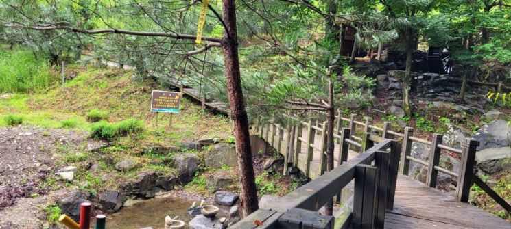 산막이옛길 구간 곳곳에서는 작은 물줄기가 흘러, 나무 그늘 아래서 물에 발을 담그며 쉬어가는 여유가 가능하다. 산림청 제공