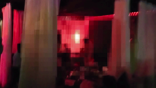 입장료 20만원 수상한 음식점…22명 '스와핑 클럽' 급습