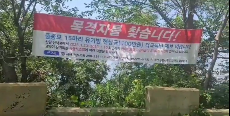 한편, 보호연대는 현상금 100만 원을 내걸고 고양이를 유기한 사람에 대한 제보를 받고 있다. [사진제공=부산 동물사랑 길고양이 보호연대]