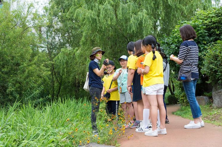 여름방학 공원서 놀자!...양천구, 공원 특별체험 운영