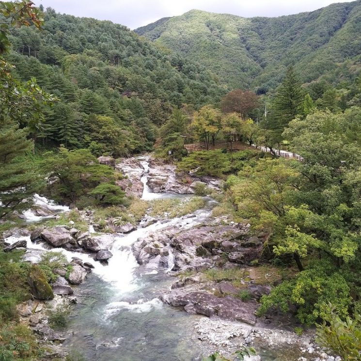 연인산 명품 계곡길에 위치한 용추구곡 전경