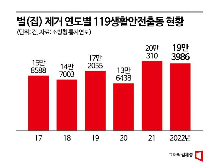 엔데믹 이후 '벌 쏘임' 급증…"꼭 119 전화하세요"
