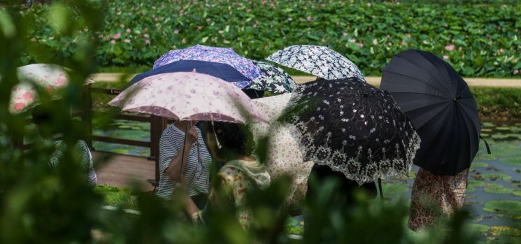 체감온도 -10도 뚝, 탈모까지 예방…남자들도 "양산 써야죠"