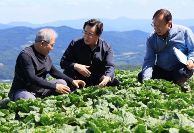 3일 강원도 강릉시 왕산면에 위치한 여름배추 밭을 방문한 정황근 농식품부 장관(가운데).