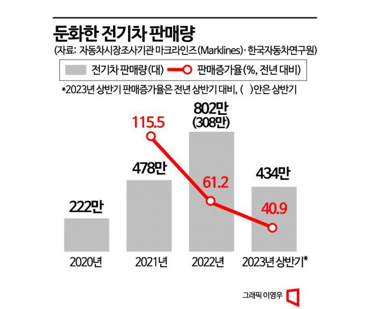 [전기차 보릿고개]"살 사람은 다 샀나"…판매량 증가세 '뚝'