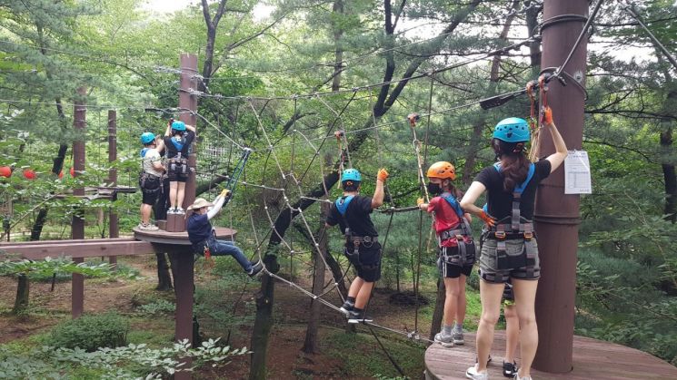 관악산 모험숲 어드벤처에서 어린이들이 모험을 즐기고 있다