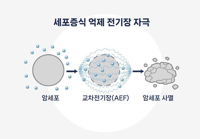 김도형 뉴아인 대표 "전자약, 뇌 넘어 눈·항암 치료까지 가능해"