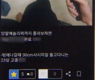 최씨가  29일 한 인터넷 커뮤니티에 흉기를 들고 있는 사진을 올리며 쓴 게시글 [사진출처=채널A 캡처]