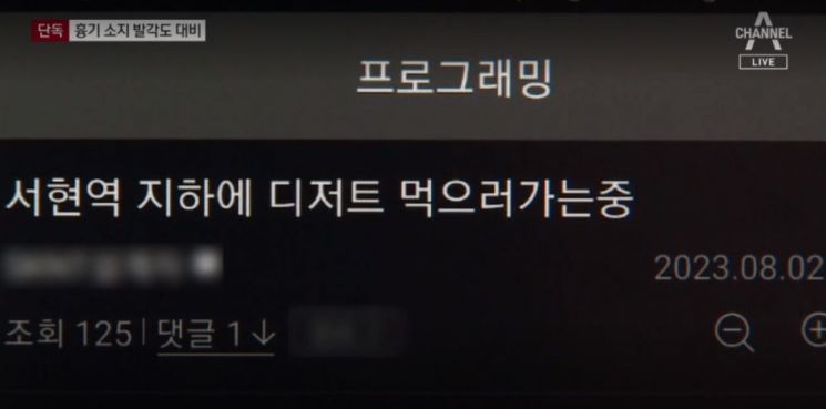 최 씨는 범행 전날이자 흉기 2개를 구입한 지난 2일 “서현역 지하에 디저트 먹으러 가는 중”이라는 글을 인터넷 커뮤니티에 올렸다. [사진출처=채널A]
