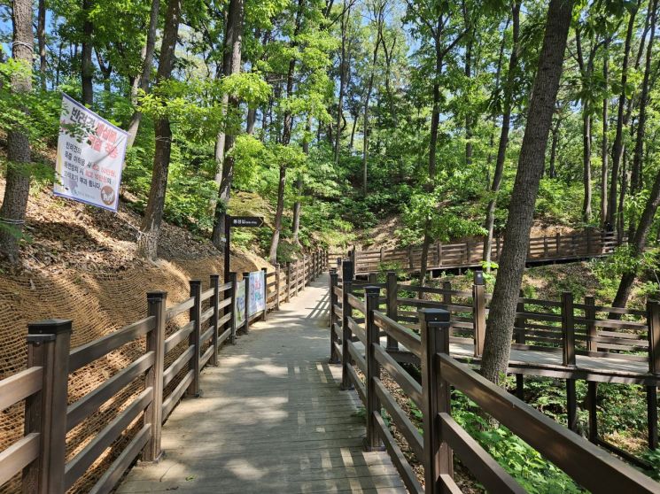 원주 중앙근린공원 숲속 둘레길에는 데크가 설치돼 탐방객의 이동 부담을 줄인다. 산림청 제공