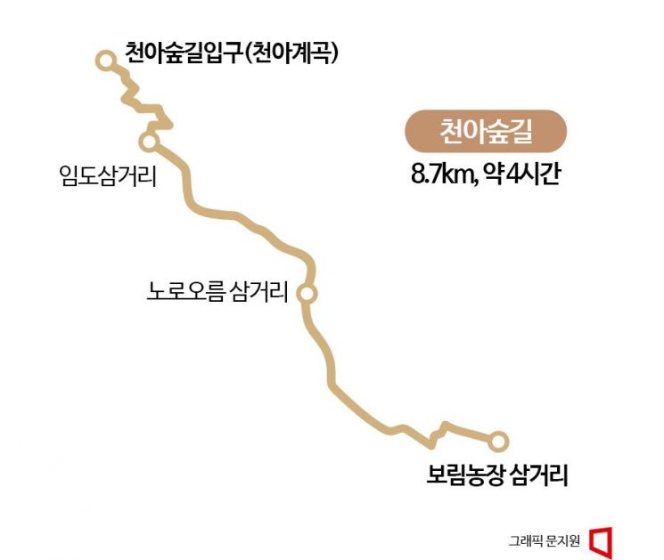 [하루만보]한라산둘레길의 시작…천아숲길